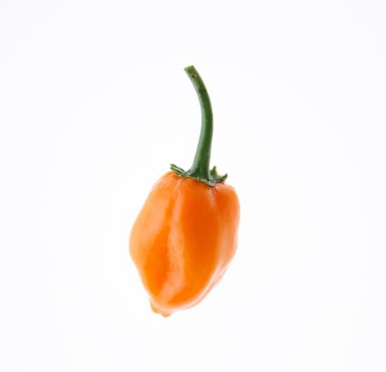 canva habanero MAC90Aa5TpQ