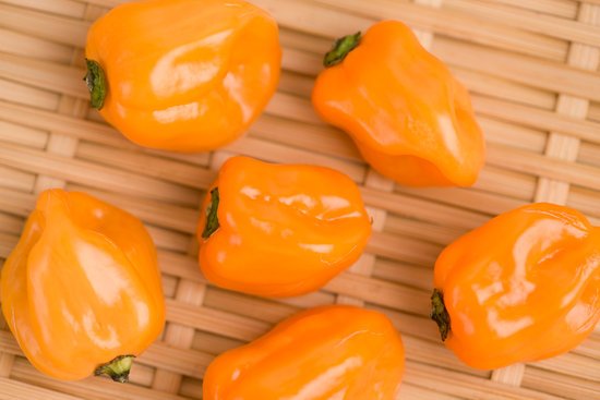 canva habanero MADFC5e5nmM