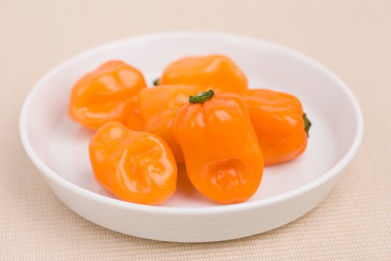 canva habanero MADFCyGdN c