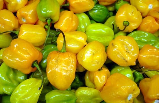 canva habanero hot peppers MAEEu7zyWMI