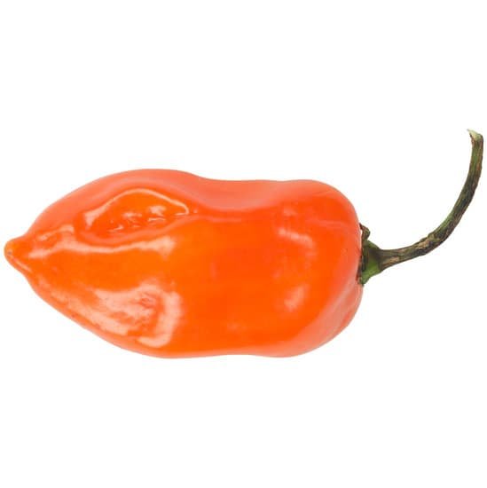 canva habanero pepper MAC9sleBsSE