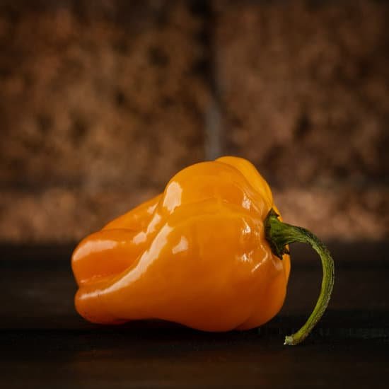 canva habanero pepper MAEEL8nsJ8I