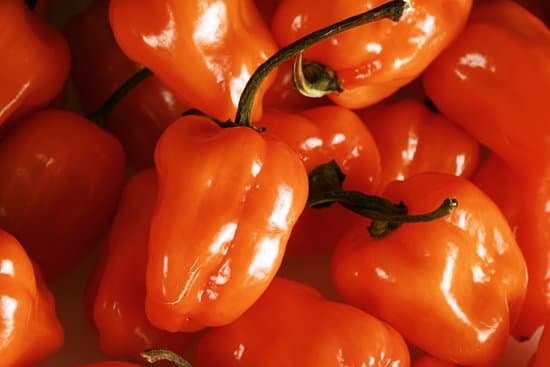 canva habanero peppers MAEEj8yvU0g