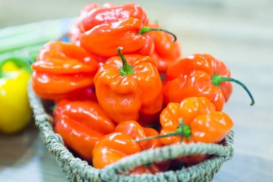 canva habanero peppers. MAC42ruUJVM