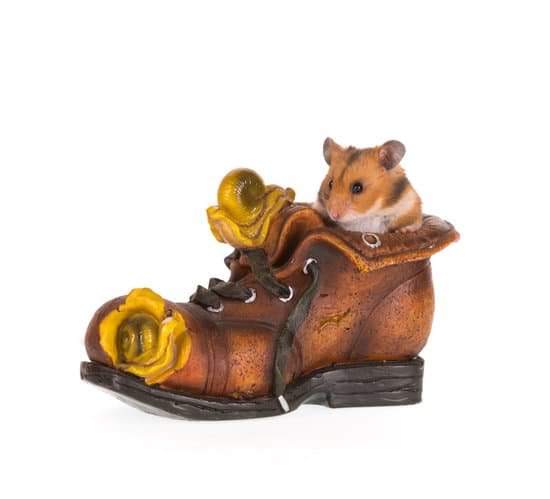 canva hamster and scenery MADM8LodwFI