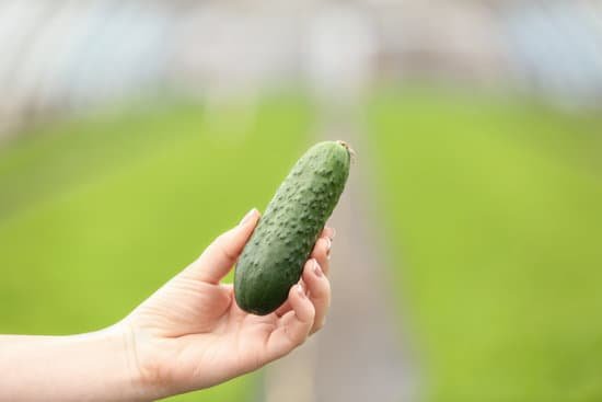 canva hand holding cucumber on blurred background MAD QyEzN88