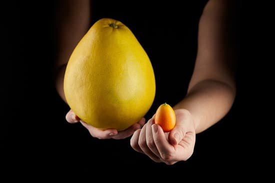 canva hand holding pomelo and kumquat citrus fruits on black background MAELbev5y9A