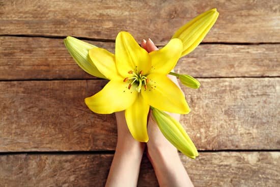 canva hands holding lily flowers on wooden background MAD Q6peEoM