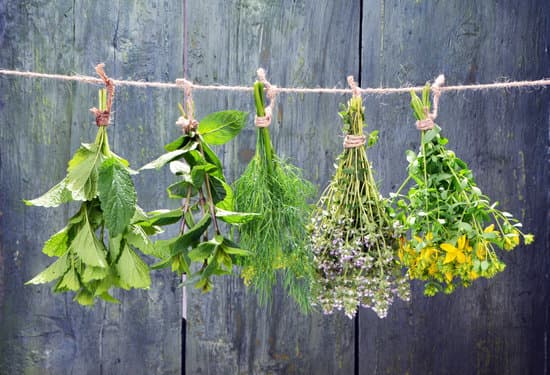 canva hanging fresh herbs MAEN3sGkKrE