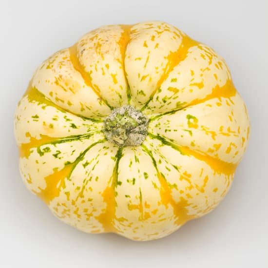 canva harlequin acorn squash MAC6BIRVMFM