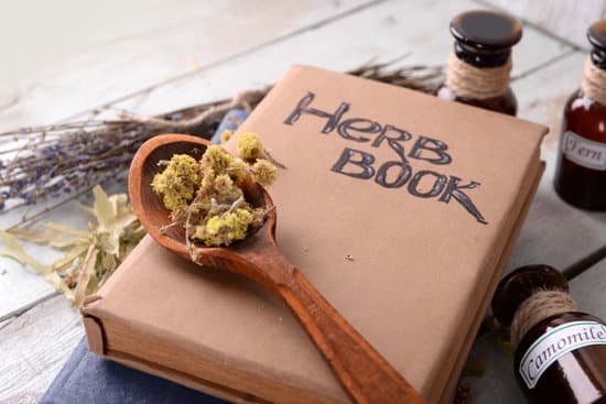 canva herb book with dried herbs and flowers MAD MZUwT38