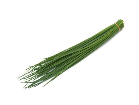 canva herb chives MADYB9N288M