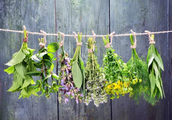 canva herbs hanging on a rope