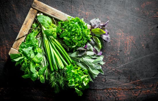 canva herbs in a wooden box MAEQN6BonwQ
