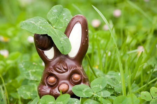 canva hidden chocolate rabbit MADEyV4yJes