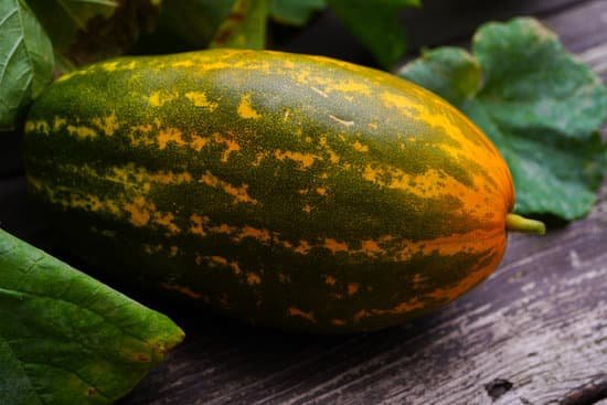 canva homegrown sambar cucumber MAEJGiVgy5s