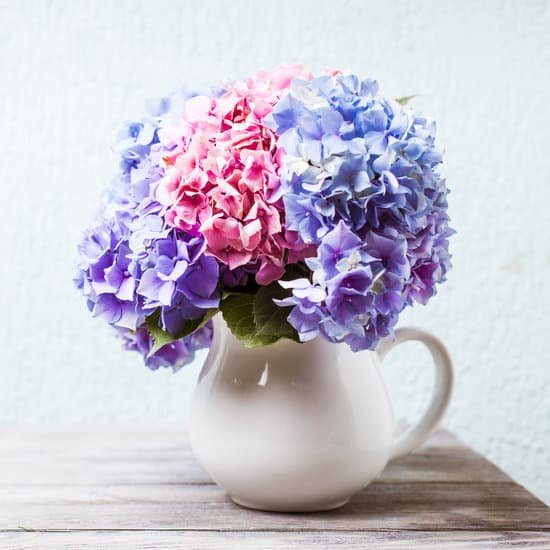 canva hydrangea bouquet in vase on wooden surface MAD79AStSUQ