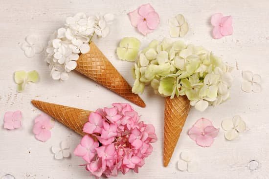 canva hydrangea flowers in ice cream cones MAD O2qZwco
