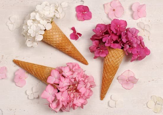 canva hydrangea flowers in ice cream cones MAD O 1PCo4