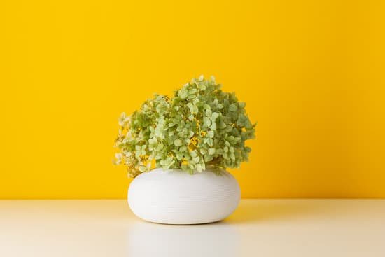 canva hydrangea in a vase on yellow background MAEIf ZOd8