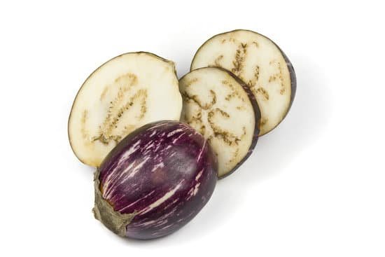 canva indian eggplant MAC6A4MmGqs