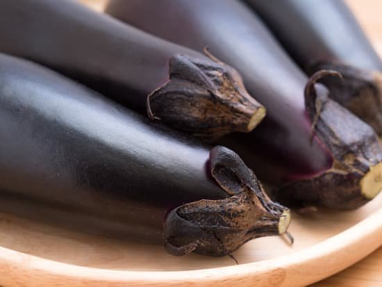 canva japanese eggplant MADqZ8XOXhQ