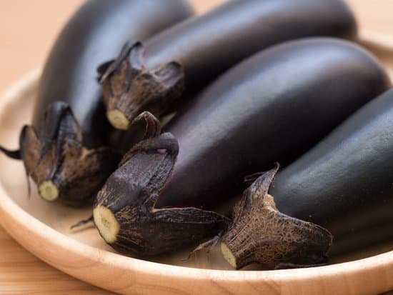 canva japanese eggplant