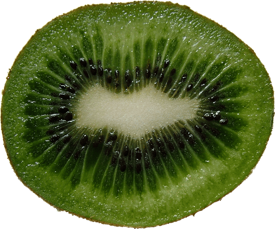 canva kiwi MAEfqWkESpg
