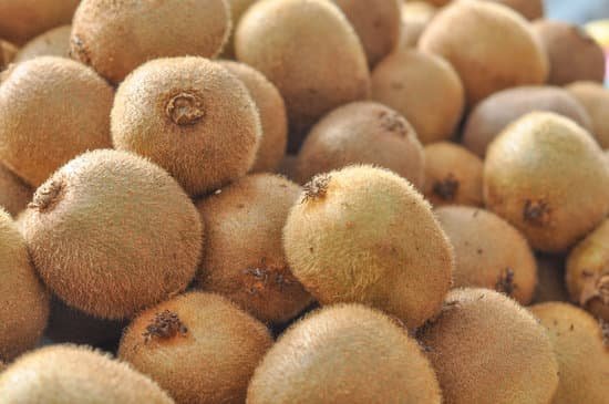 canva kiwi fruit MAA8BTn3E9E