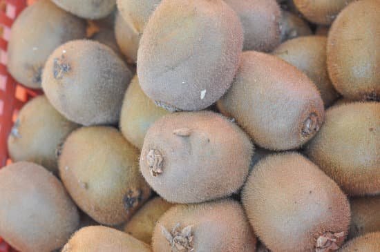 canva kiwi fruit MAA8u8P7JKs