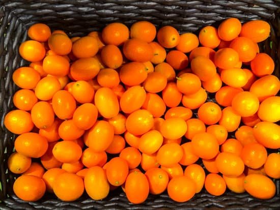 canva kumquats MAEETaoiAJM