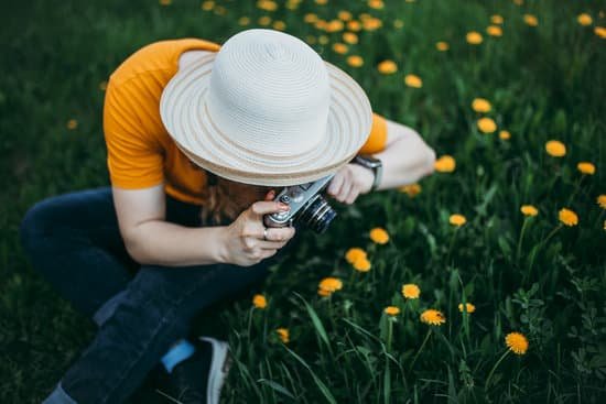 canva lady taking photo of beautiful dandelions on field MAD KwdiyR0