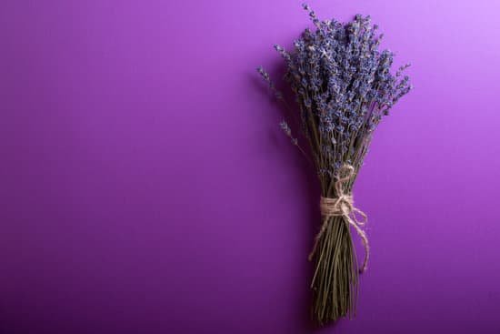 canva lavender bouquet on violet background MAEEd5uL00A