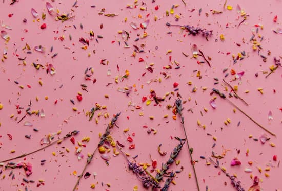 canva lavender branches leaves and petals MAEPy yzalY