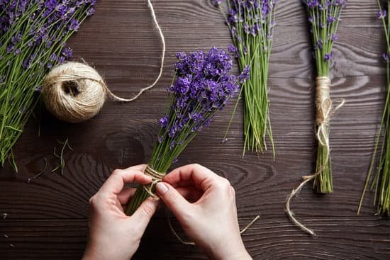 canva lavender flower bunches on wooden table MAEHM7FQb w