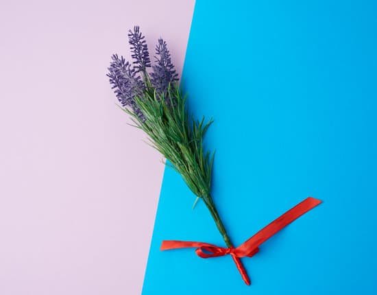 canva lavender flower with red ribbon MAD61HGEu0Y