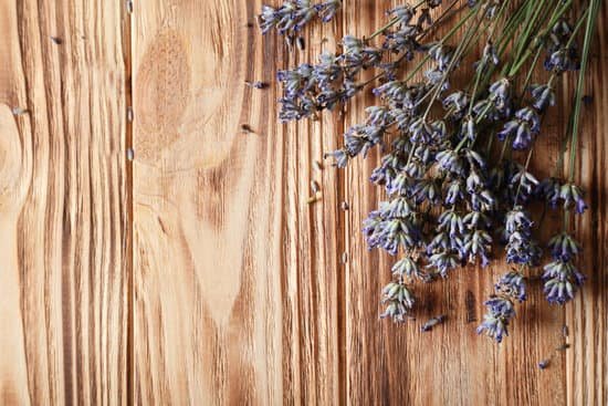 canva lavender flowers on a wooden background MAD Q zgtbQ