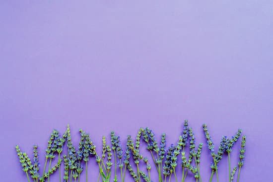 canva lavender flowers on purple background MAEAuMQ ZMI