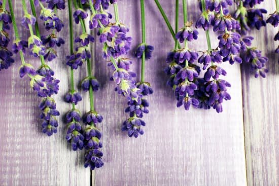 canva lavender flowers on table MAD MSXCinw