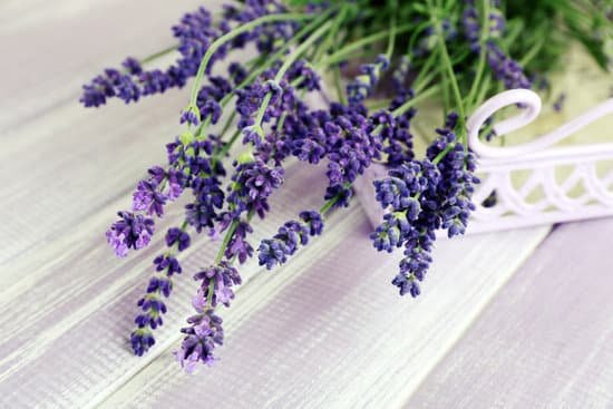 canva lavender flowers on table MAD MWImBkU