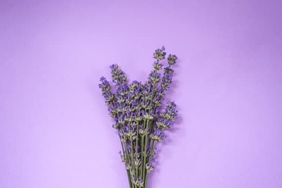 canva lavender flowers on the purple background MAEQwJ4YSF8