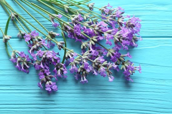 canva lavender flowers on wooden background MAD Q FzJyg