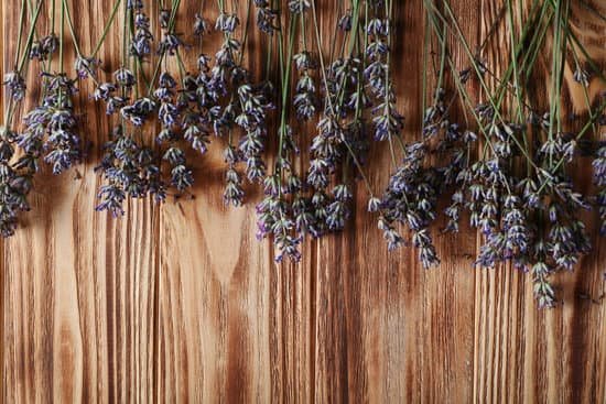 canva lavender flowers on wooden background MAD Q dGXXc