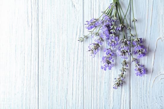 canva lavender flowers on wooden background MAD Q0ABmvo