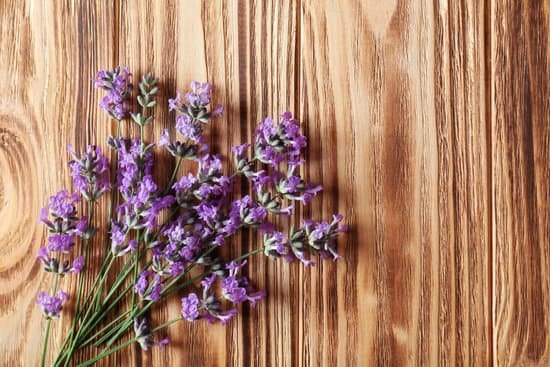 canva lavender flowers on wooden background MAD Q1UWdhA