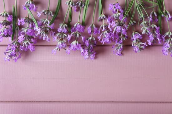 canva lavender flowers on wooden background MAD Q3IavSY