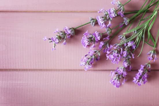 canva lavender flowers on wooden background MAD Q9SZiYA