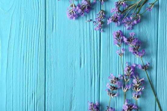 canva lavender flowers on wooden background MAD QyFT1y0