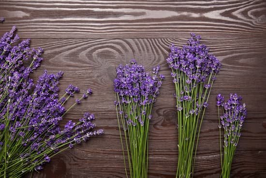 canva lavender flowers on wooden surface MAED9 JNlYQ