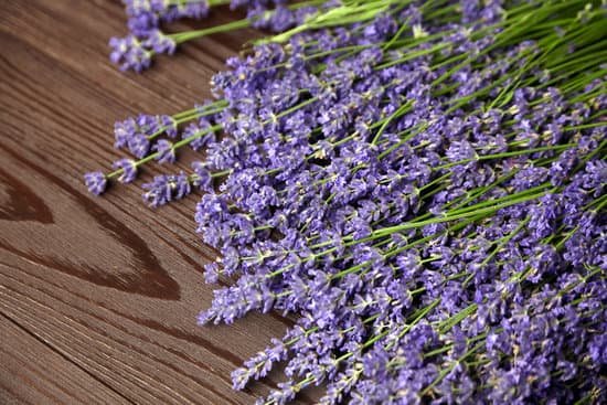 canva lavender flowers on wooden surface MAED92 dEJU